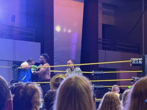 Dragon Con Wrestling